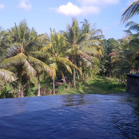 Hotel Dewa House Bisma Ubud Exterior foto