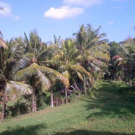 Hotel Dewa House Bisma Ubud Exterior foto