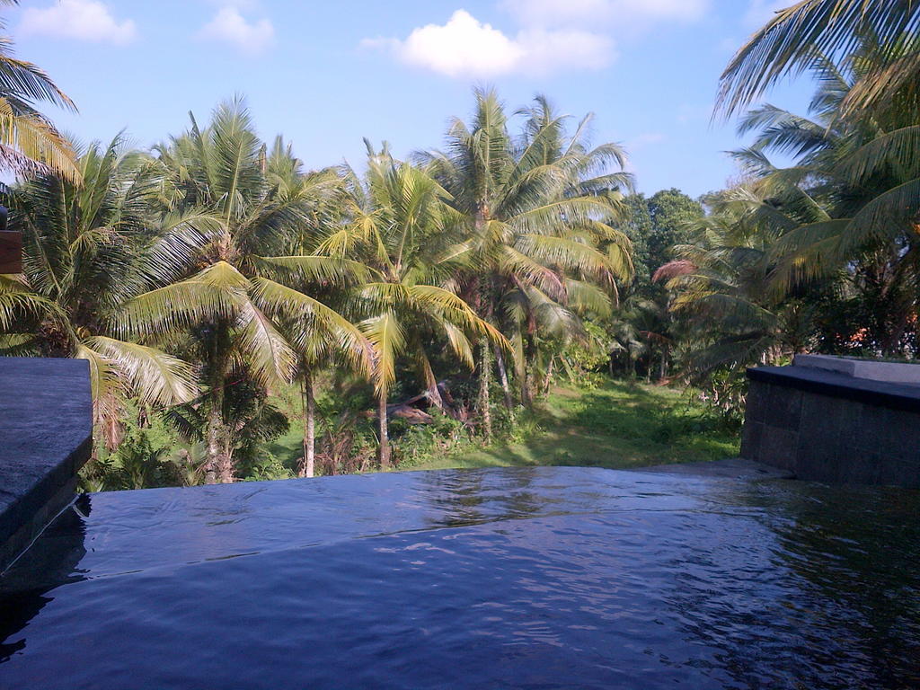 Hotel Dewa House Bisma Ubud Exterior foto