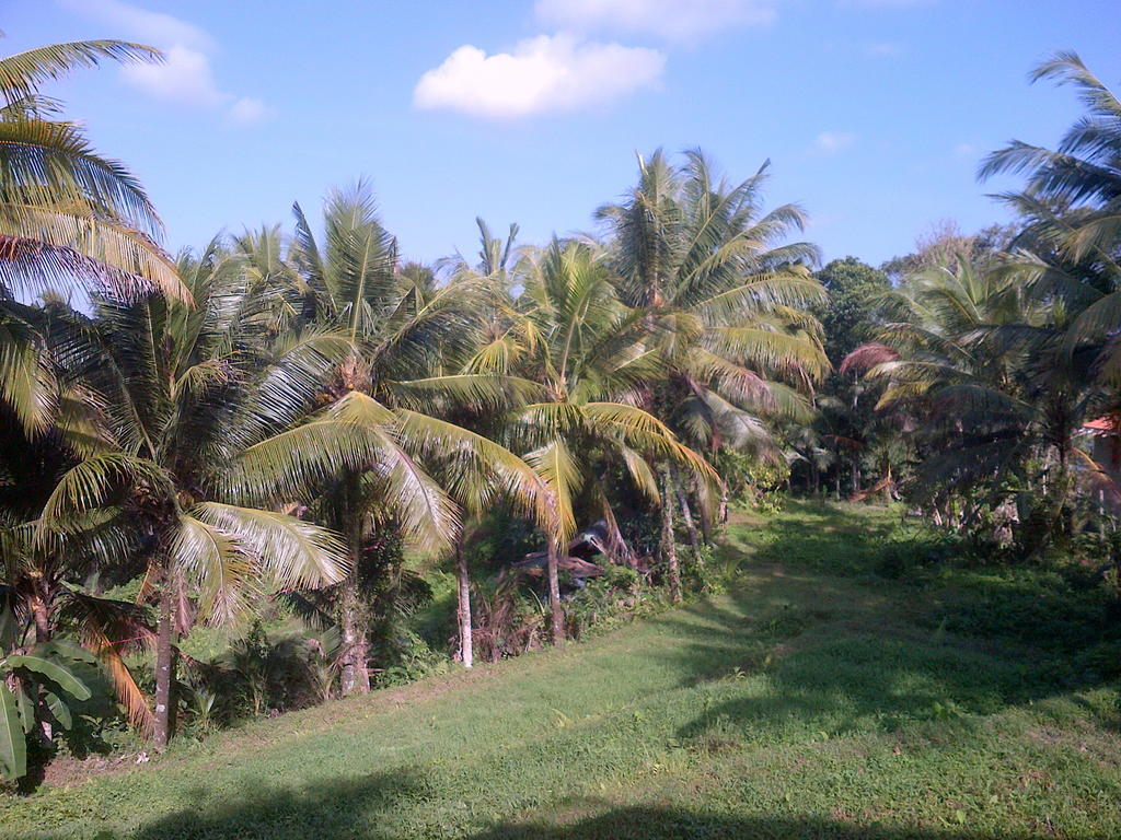 Hotel Dewa House Bisma Ubud Exterior foto