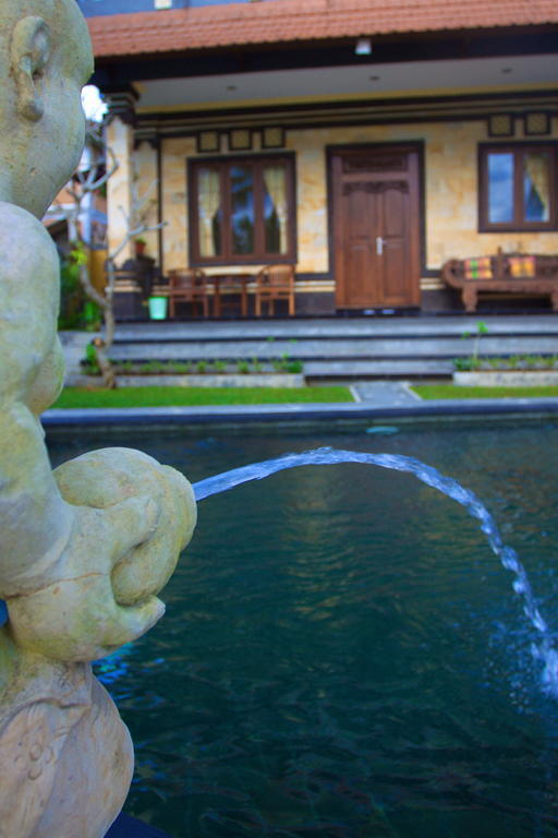 Hotel Dewa House Bisma Ubud Exterior foto