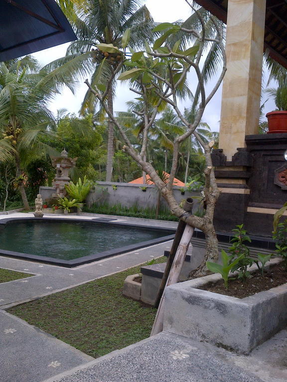 Hotel Dewa House Bisma Ubud Exterior foto
