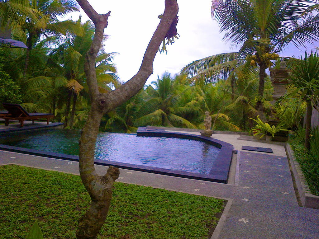 Hotel Dewa House Bisma Ubud Exterior foto