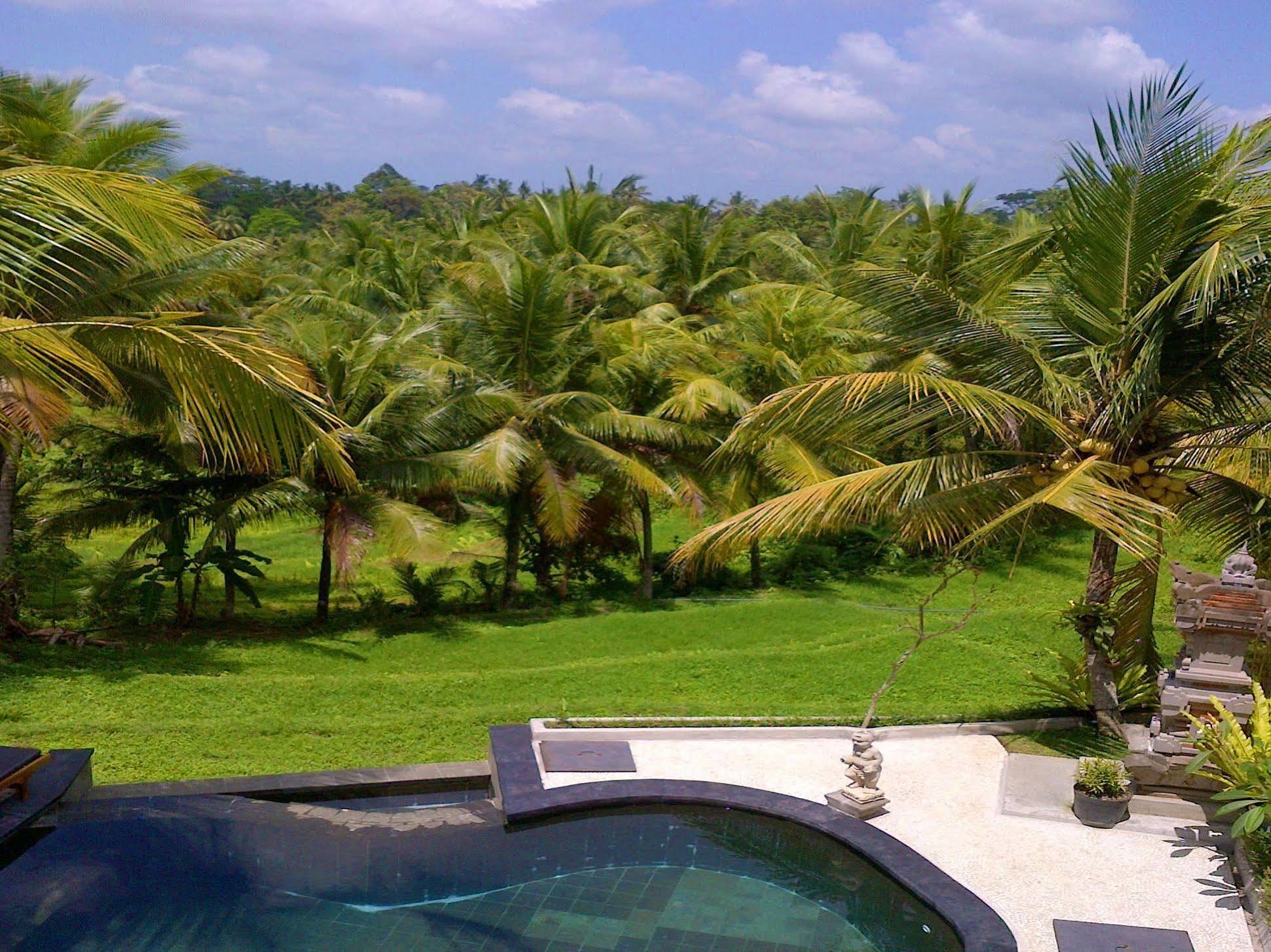 Hotel Dewa House Bisma Ubud Exterior foto
